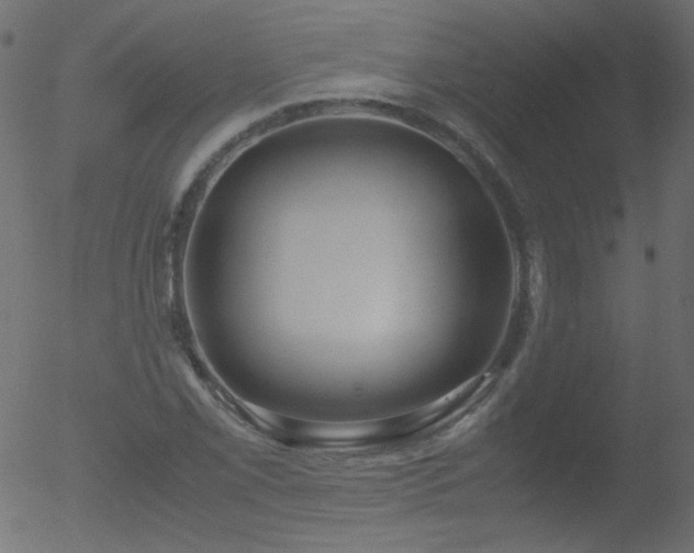 X0000052551069200507011124