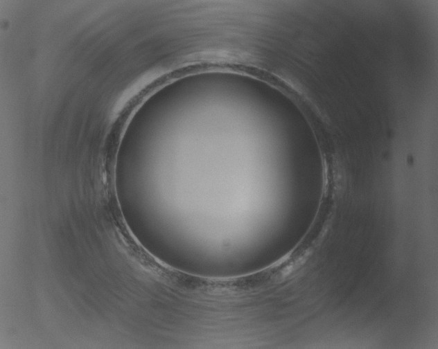 X0000052551070200507011124