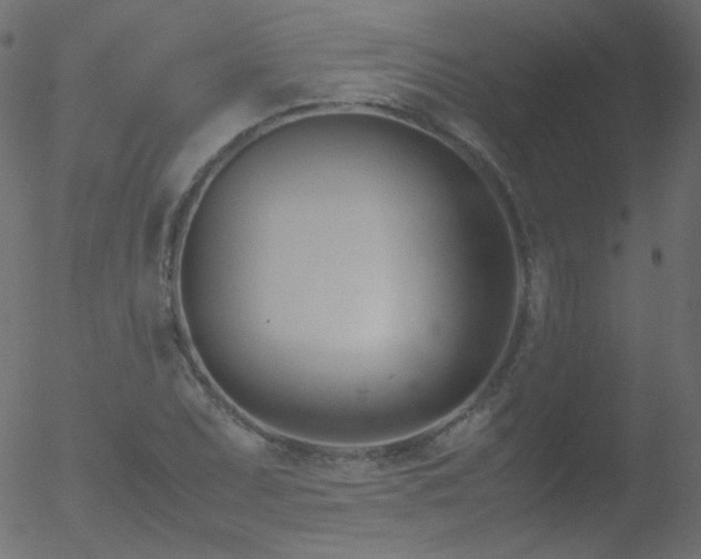 X0000052551071200507011124