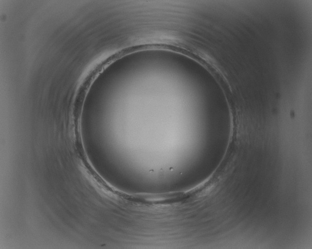 X0000052551072200507011124