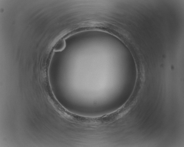 X0000052551073200507011124