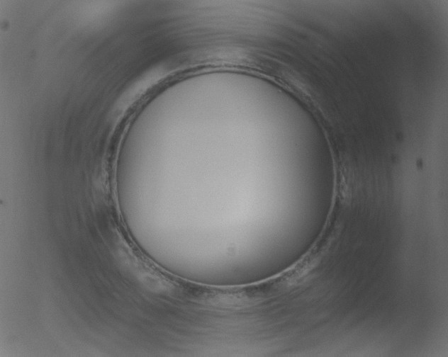 X0000052551074200507011124