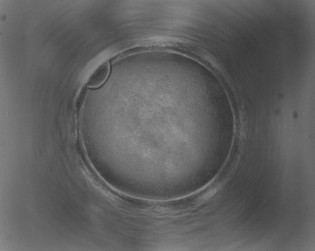 X0000052551075200507011124