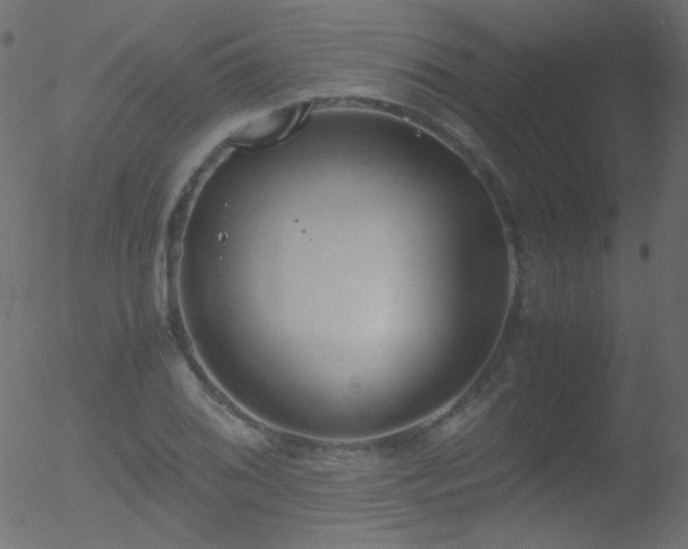 X0000052551076200507011124