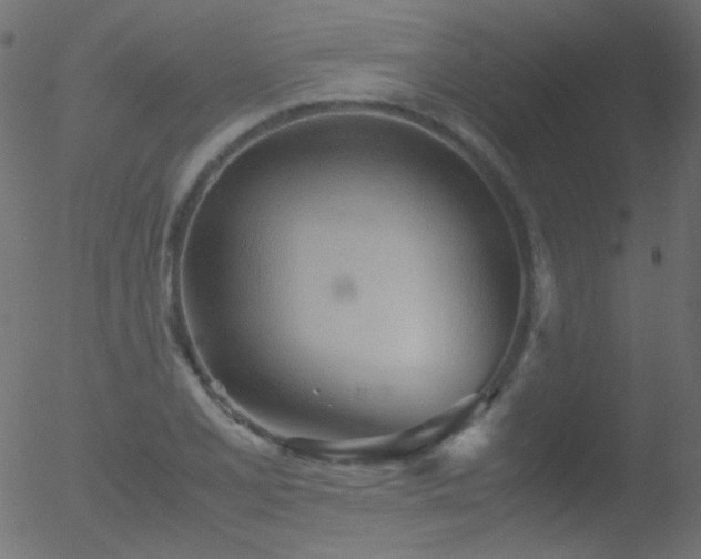 X0000052551077200507011124