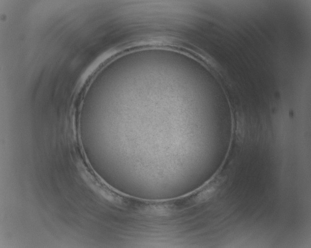 X0000052551078200507011124