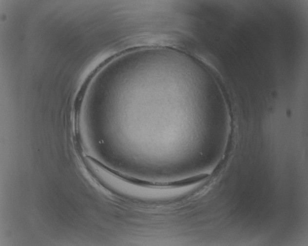 X0000052551079200507011124