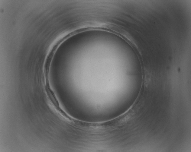 X0000052551080200507011124