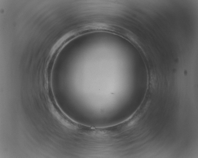 X0000052551082200507011124