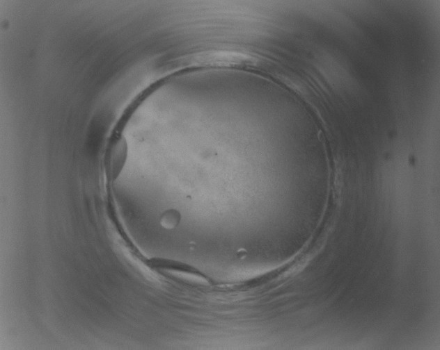 X0000052551083200507011124