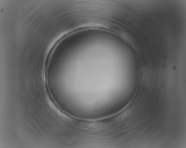 X0000052551084200507011124