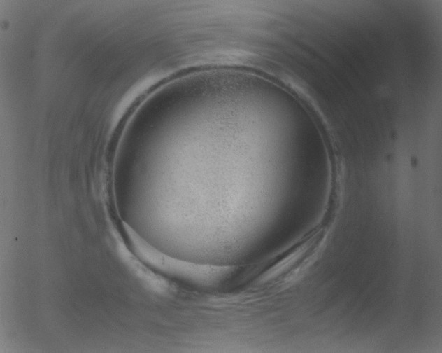 X0000052551085200507011124