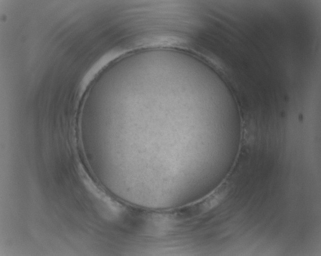 X0000052551086200507011124