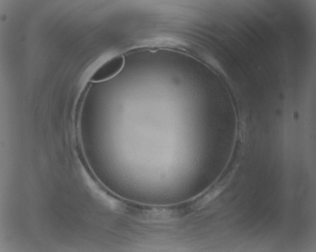 X0000052551087200507011124