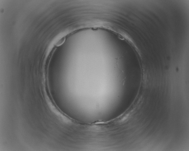 X0000052551088200507011124