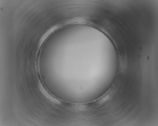 X0000052551090200507011124