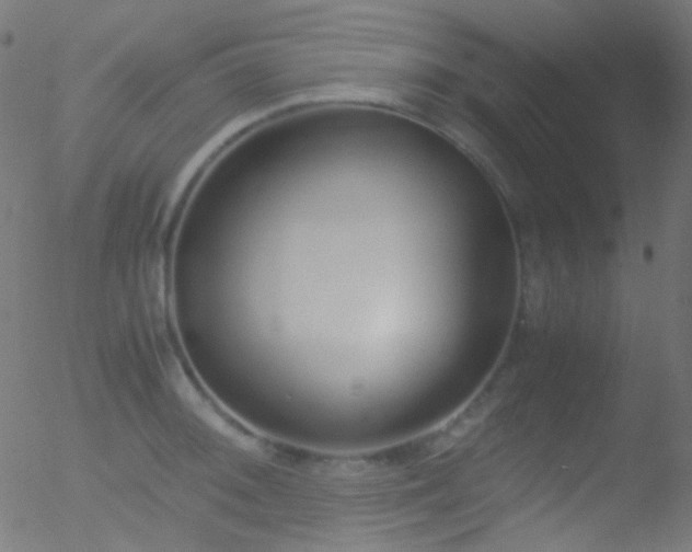 X0000052551092200507011124