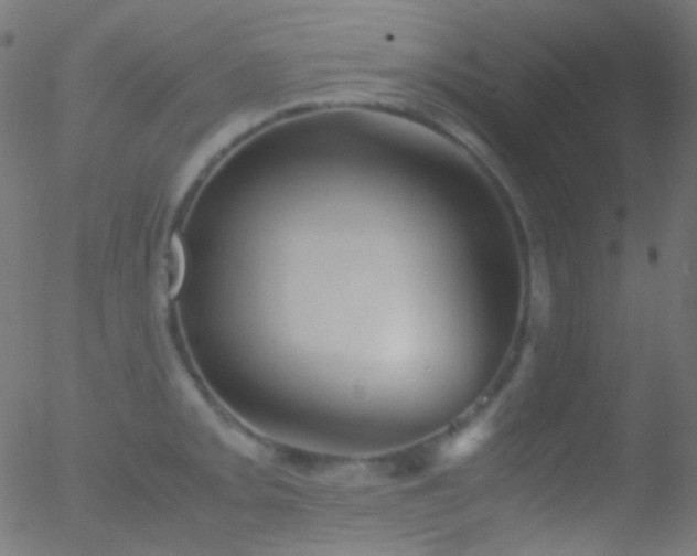 X0000052551093200507011124