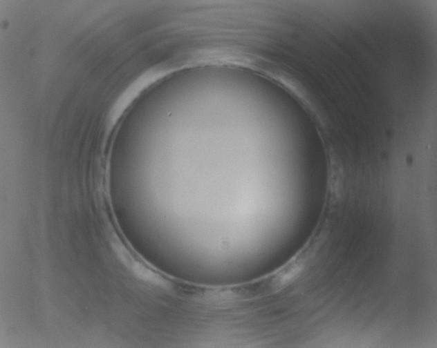 X0000052551094200507011124