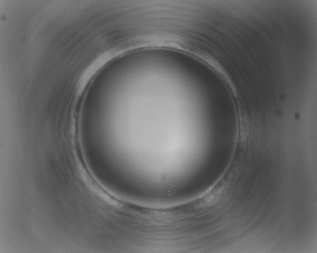 X0000052551096200507011124