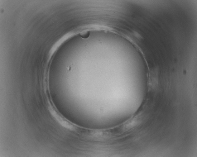 X0000052551098200507011124