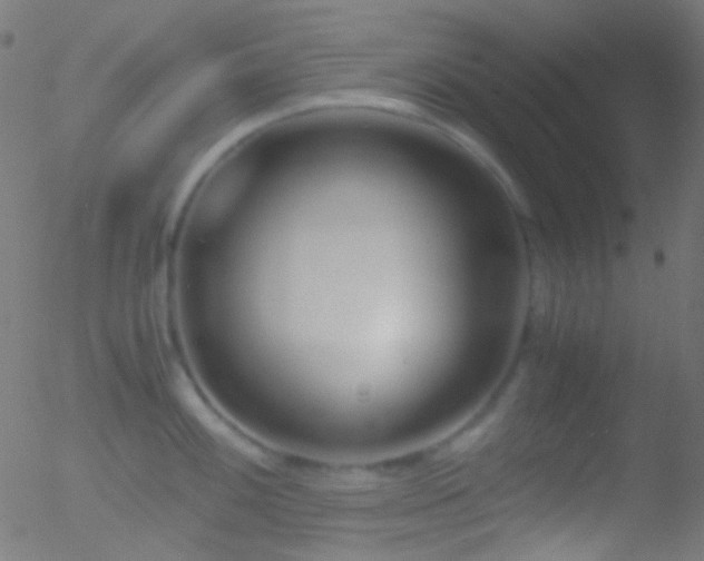 X0000052551100200507011124