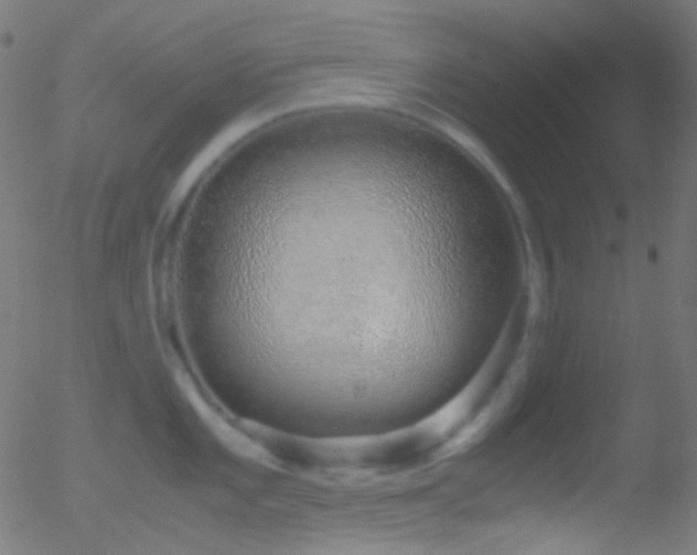 X0000052551101200507011124