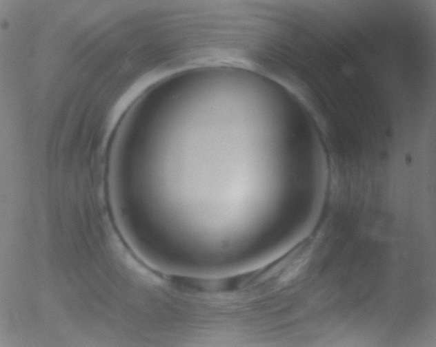 X0000052551102200507011124