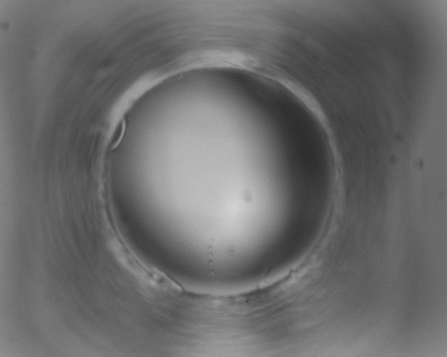 X0000052551104200507011124