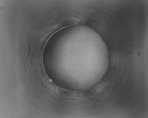 X0000052551105200507011123