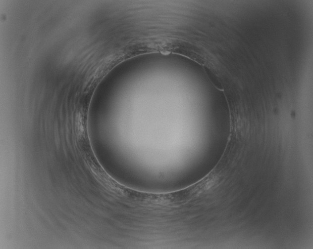 X0000052551106200507011123