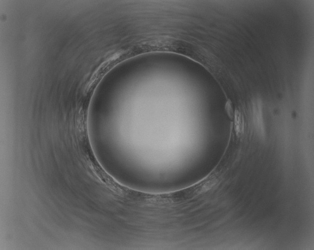 X0000052551107200507011123