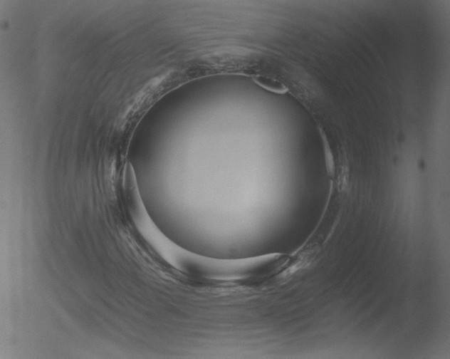 X0000052551108200507011123