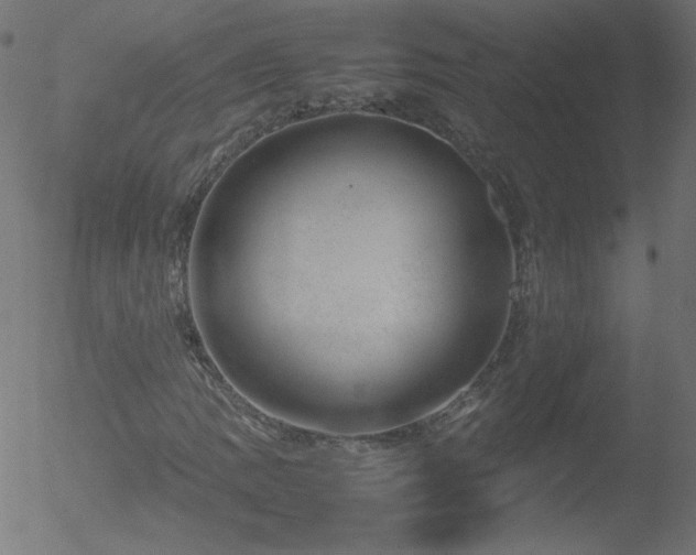 X0000052551109200507011123