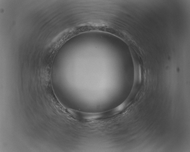 X0000052551110200507011123