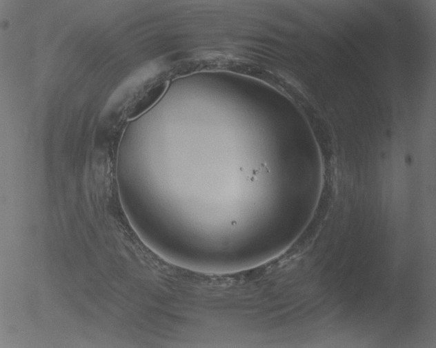 X0000052551111200507011123