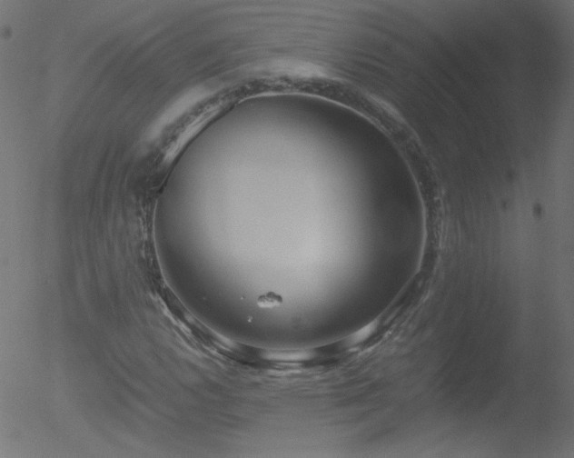 X0000052551112200507011123