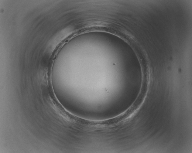 X0000052551113200507011123