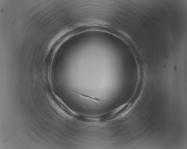 X0000052551114200507011123