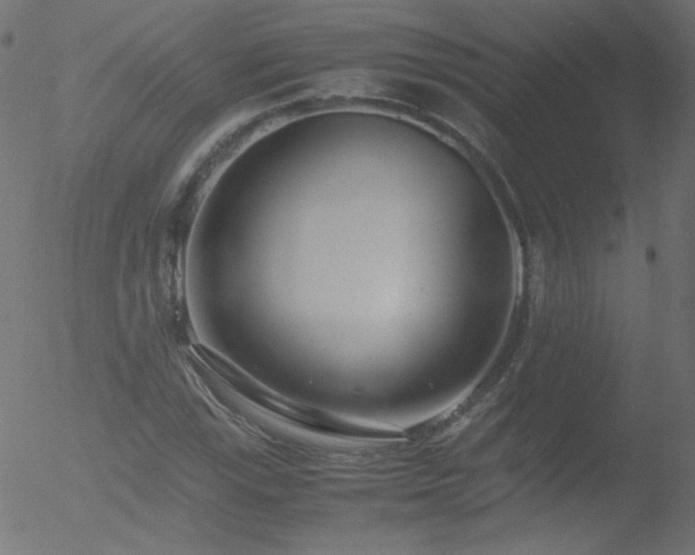 X0000052551115200507011123