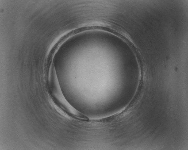 X0000052551116200507011123