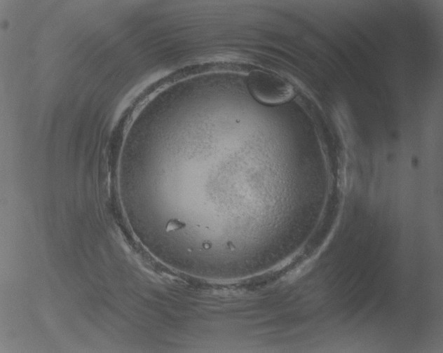 X0000052551117200507011123