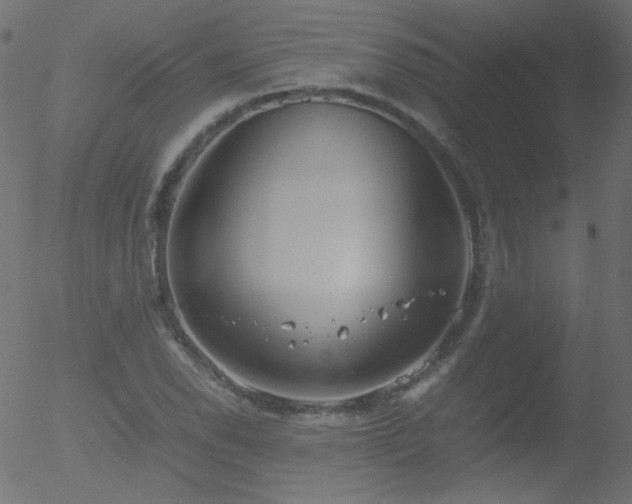 X0000052551118200507011123