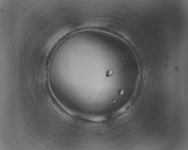 X0000052551119200507011123