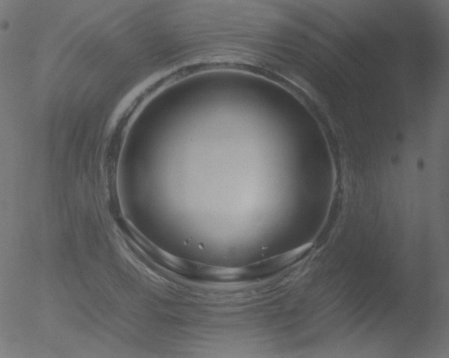 X0000052551120200507011123