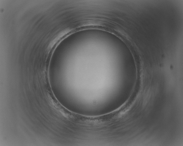 X0000052551121200507011123