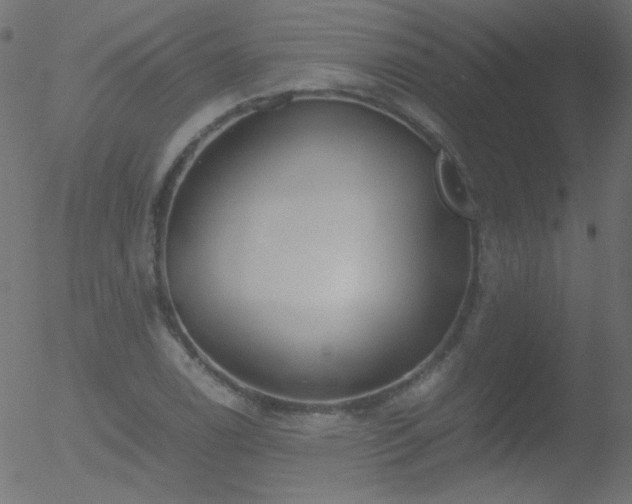 X0000052551122200507011123