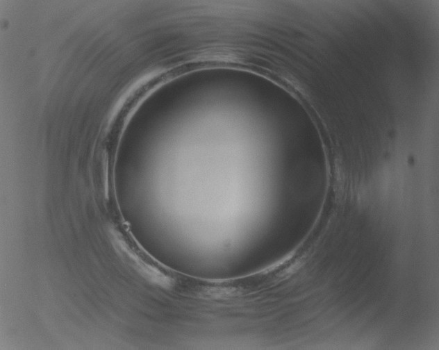 X0000052551123200507011123