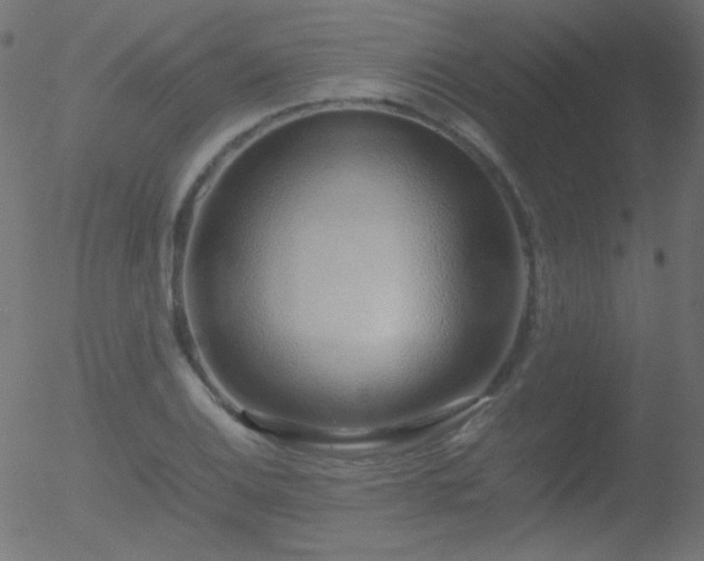 X0000052551124200507011123