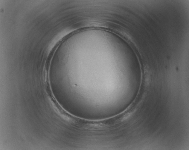 X0000052551125200507011123